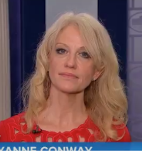 Kellyanne’s latest humiliating interview will almost make you feel bad for her. Almost.
