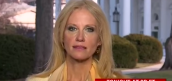 WATCH: Kellyanne Conway finally starting to crack as CNN anchor corners her on live TV