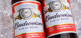The entire Internet is laughing at Trump supporters and their misspelled #BoycottBudwiser hashtag