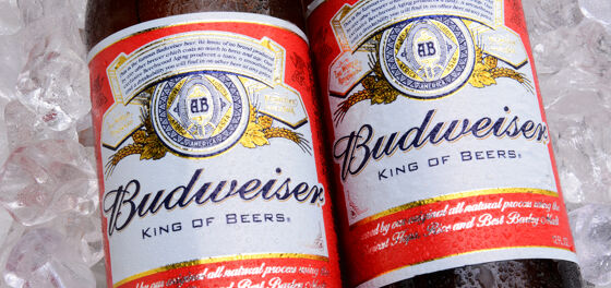 The entire Internet is laughing at Trump supporters and their misspelled #BoycottBudwiser hashtag