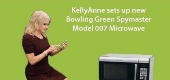 These Kellyanne Conway microwave memes will have you ROTFLOLing