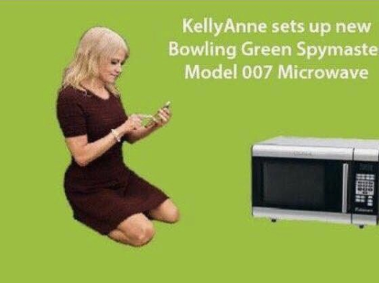 These Kellyanne Conway microwave memes will have you ROTFLOLing