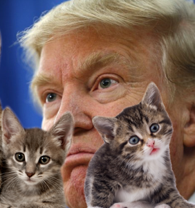 Trump threatens 17-year-old for creating online game where he gets attacked by kittens