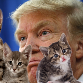 Trump threatens 17-year-old for creating online game where he gets attacked by kittens