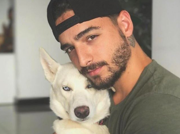 Hot dudes with dogs; Kelly Clarkson hits a sour note; Minnie Driver might die