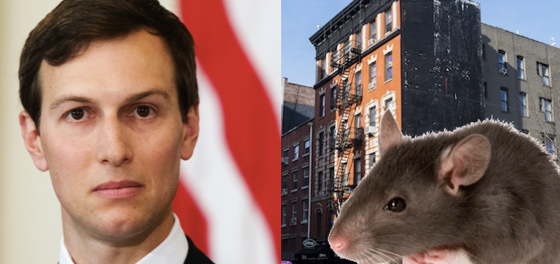 Jared Kushner’s NYC apartment buildings are infested with rats and tenants have had enough