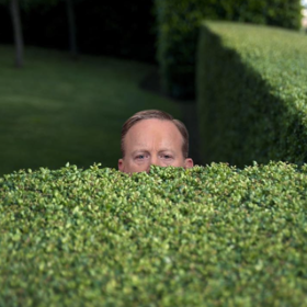 Hilarious memes of Sean Spicer hiding in the bushes will have you ROTFLOLing
