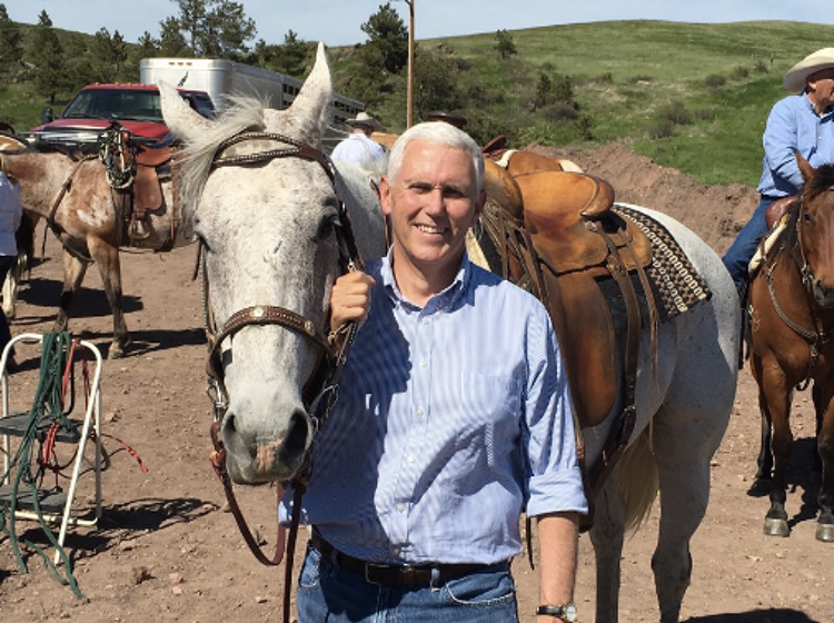 Mike Pence tweets that he wants a horse “inside” him and all of Twitter freaks out