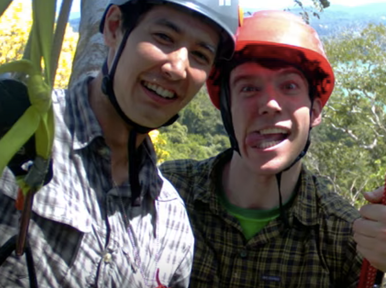 That time two dudes got engaged at the top of a tree in the Panamanian rainforest