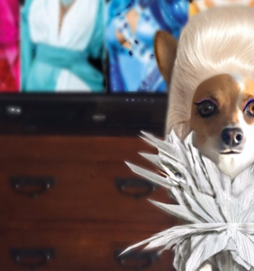 What the world needs now: A dog all gussied up in RuPaul’s likeness
