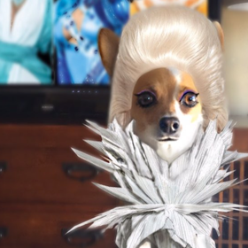 What the world needs now: A dog all gussied up in RuPaul’s likeness