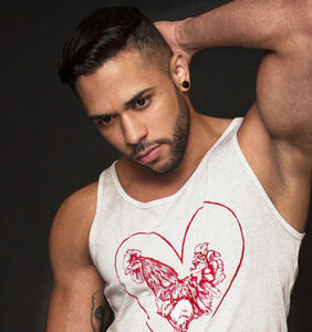 Otters, bears, and pigs (oink!): Silber Fuchs NYC create naughty tees that are perfect for Pride