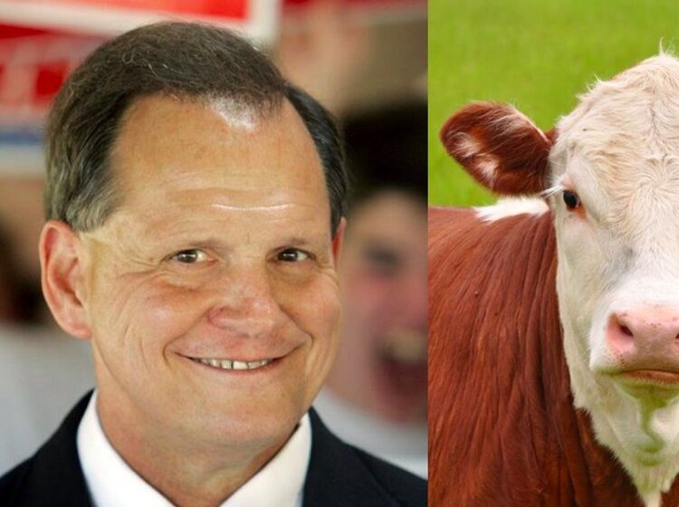 Senate hopeful Roy Moore: gay sex is the ‘same thing’ as having sexual relations with a cow