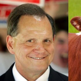 Senate hopeful Roy Moore: gay sex is the ‘same thing’ as having sexual relations with a cow