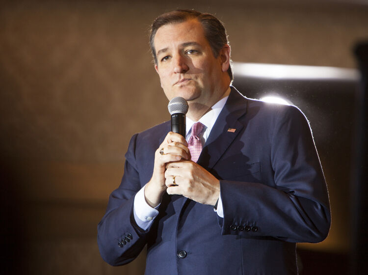 Damage control: Ted Cruz attempts to explain the bisexual adult film on his Twitter profile