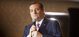 Damage control: Ted Cruz attempts to explain the bisexual adult film on his Twitter profile