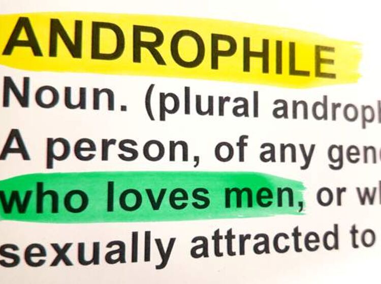 Don’t call me gay, I’m an androphile: The latest sexual subculture to add to your vocabulary