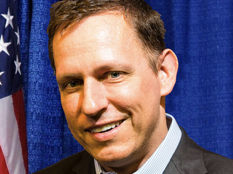 9 reasons Trump might put Peter Thiel on the Supreme Court but probably won't