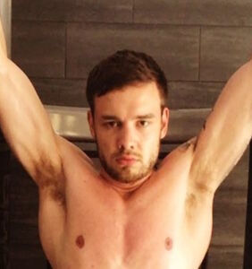 Liam Payne drives fans into overdrive with revealing bed selfie