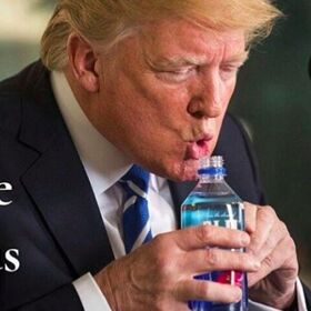 These hilarious memes prove Donald Trump is definitely the most “stable genius”