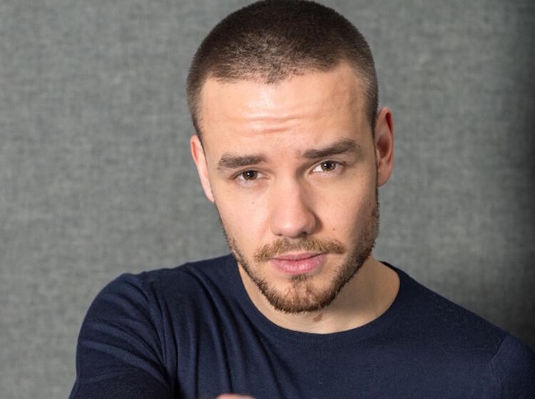 Liam Payne strips it down on Instagram, begs fans to "check out the views"