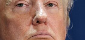 People can’t stop talking about Donald Trump’s tiny nether regions and it’s grossing us out