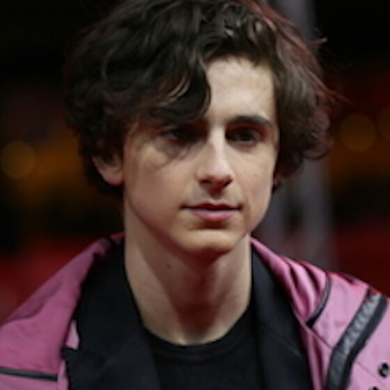 Timothée Chalamet will donate all his Woody Allen money to charity (including an LGBTQ charity)
