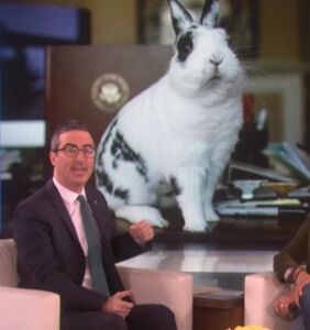 Ellen joins John Oliver’s gay bunny campaign against Mike Pence