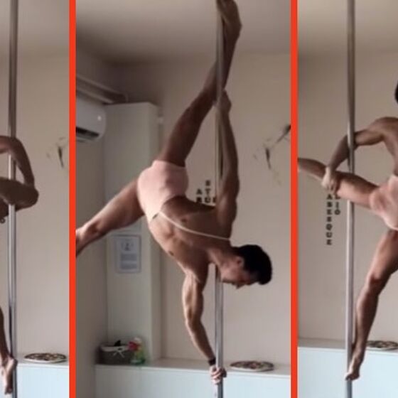 This insane pole-dancing routine will have you begging for more… culture.