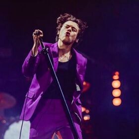Harry Styles shows off a little, er, a LOT more than intended in skin-tight purple pants