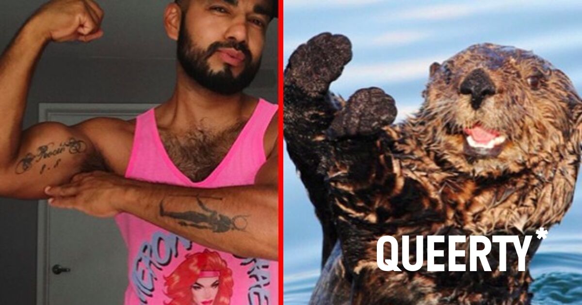 Photos Sexy Gay Otters Celebrate World Otter Day Queerty Photos Sexy Gay Otters Celebrate World Otter Day Queerty