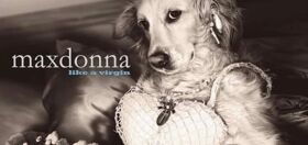 French fashion photographer recreates all of Madonna’s iconic looks… with his golden retriever Max