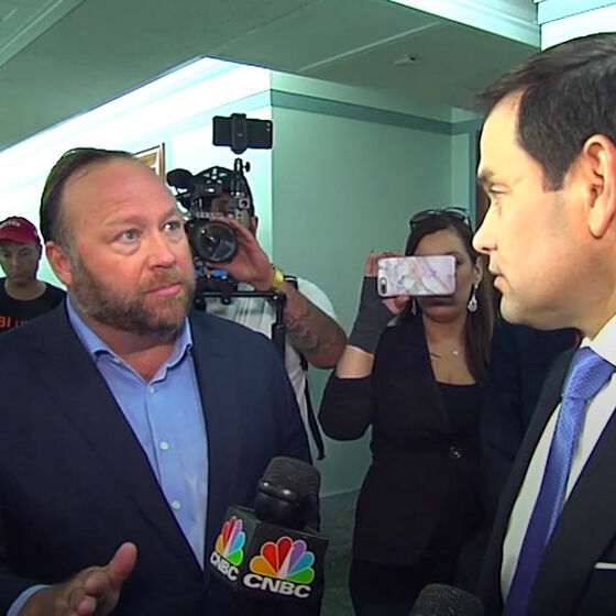 Twitter responds to Marco Rubio and Alex Jones’ Capitol Hill cat fight