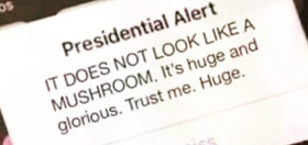 Presidential alert: Memers respond to Trump’s 300 million person group text