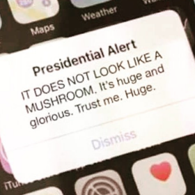 Presidential alert: Memers respond to Trump’s 300 million person group text