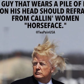 Memers come for Trump after he calls Stormy Daniels a “horseface”
