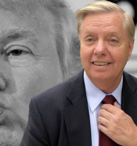 Lindsey Graham wants to be Trump’s presidential b*tch, praises his stance on birthright citizenship