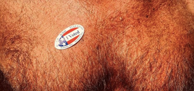 PHOTOS: Hot guys find all sorts of sexy places to put their “I Voted” stickers