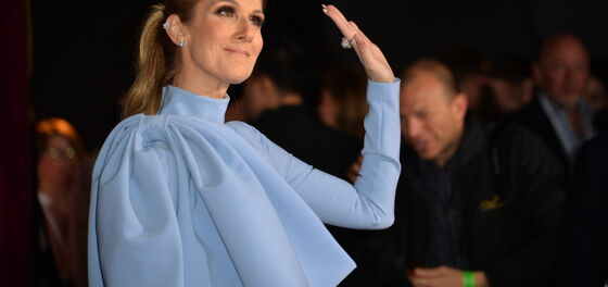 WATCH: Celine Dion tackled by security and put in handcuffs