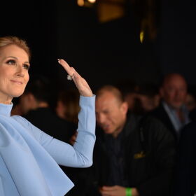 WATCH: Celine Dion tackled by security and put in handcuffs