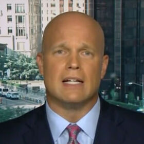 The acting Attorney General helped market a toilet for ‘well-endowed men’
