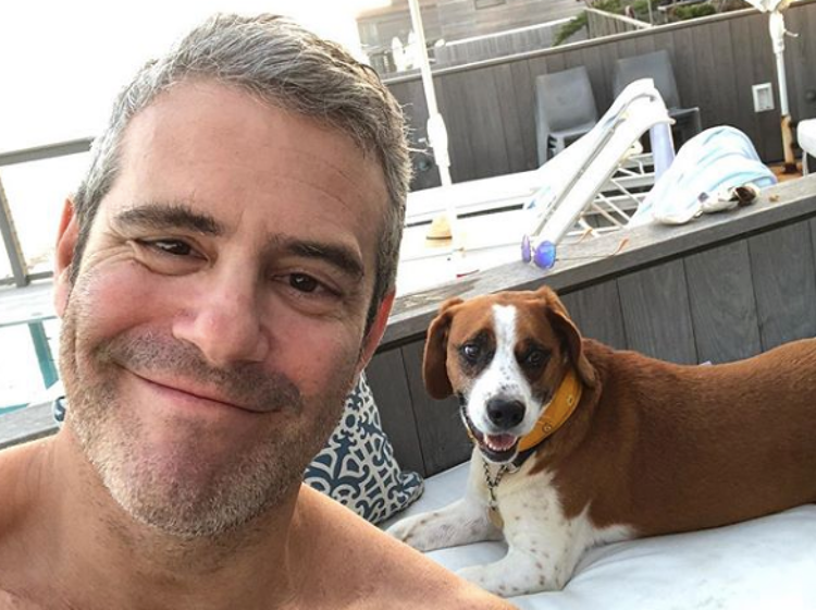 Andy Cohen just upped his daddy game