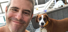 Andy Cohen just upped his daddy game