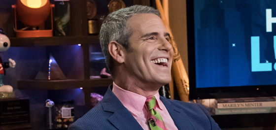 Andy Cohen suggests new tactic in the Brunei Boycott: Gay adult films
