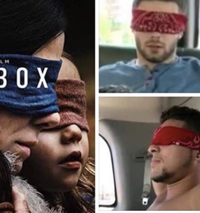 “Bird Box” has captivated audiences… and inspired some super gay memes