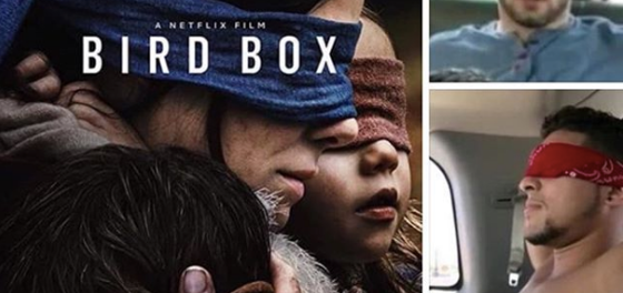 “Bird Box” has captivated audiences… and inspired some super gay memes