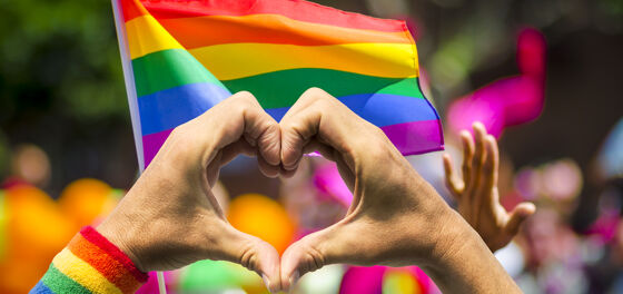 This gay couple got a wonderful surprise after a thief stole their family’s rainbow flag