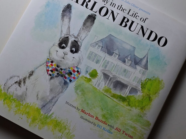 Mike Pence’s gay pet rabbit embroiled in delicious literary controversy