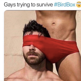 More super gay ‘Bird Box’ memes to help get you through the week
