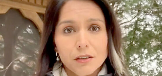 Tulsi Gabbard releases awkward four minute cellphone video apologizing for her years of homophobia